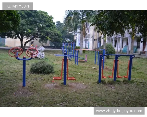 户外健身器材项目介绍及使用效果评价